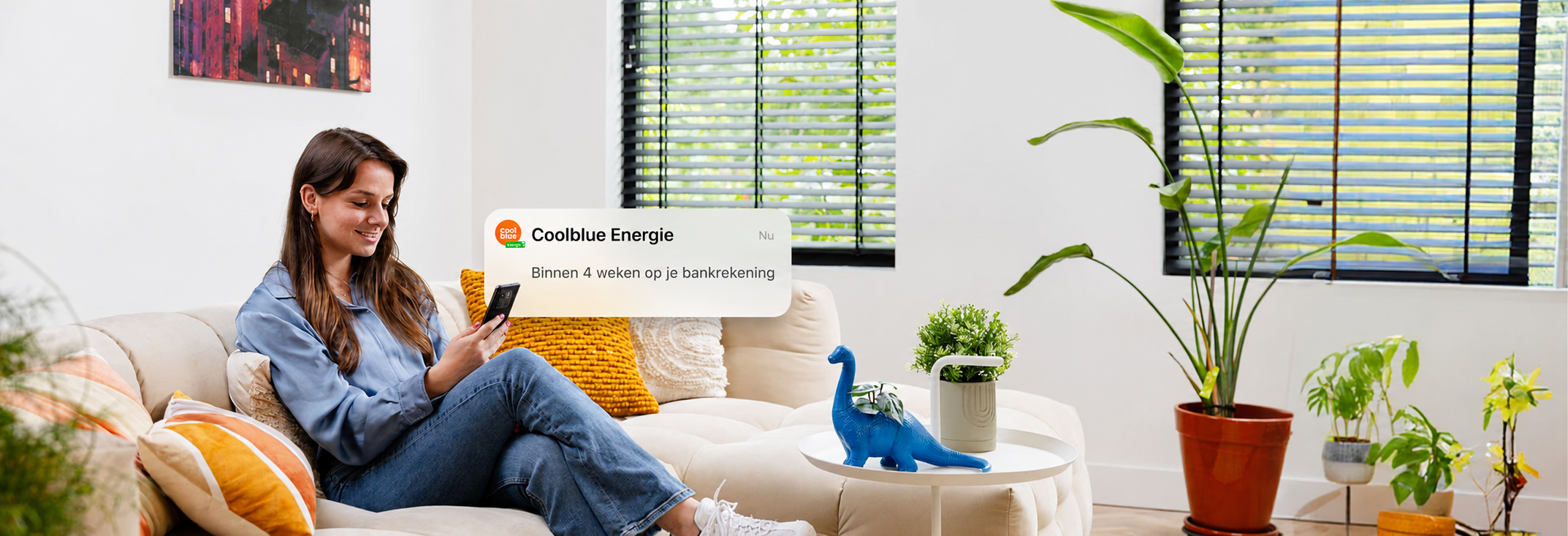 Coolblue cashback